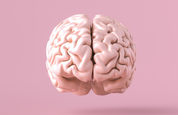 cerebro.png